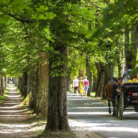 Appartamento Air Urban Sarajevo